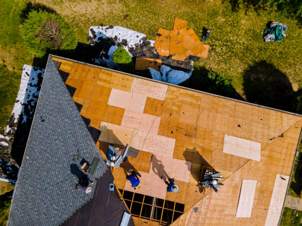 Best Flat Roof Repair Services  in Burns, TN