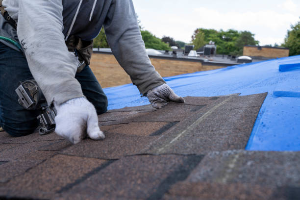 Best Roof Gutter Cleaning  in Burns, TN