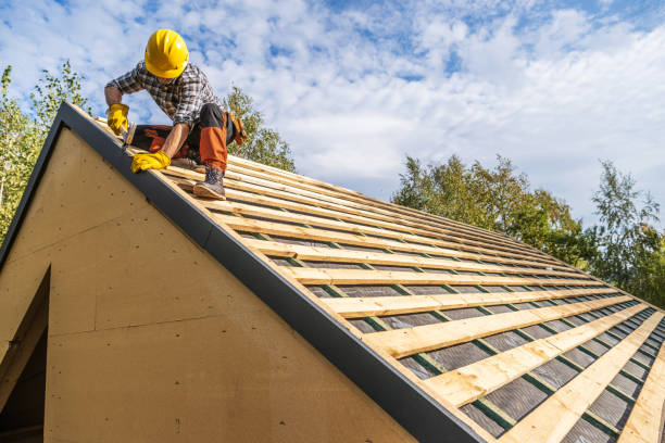 Best Roof Installation Near Me  in Burns, TN