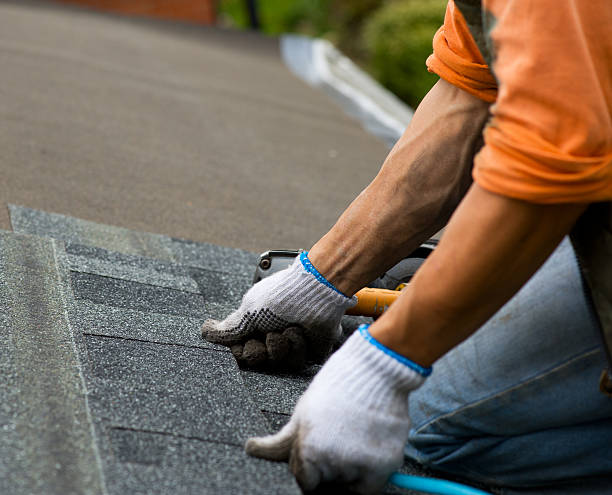 Best Gutter Installation and Roofing  in Burns, TN