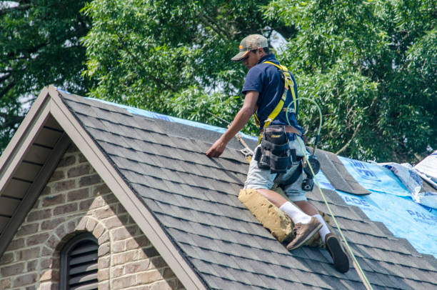 Best Roof Leak Repair  in Burns, TN